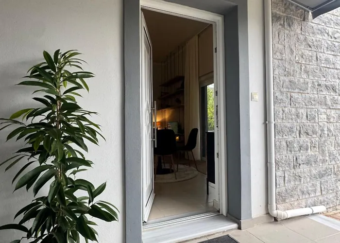 Nafsika Luxe Edition Oreon